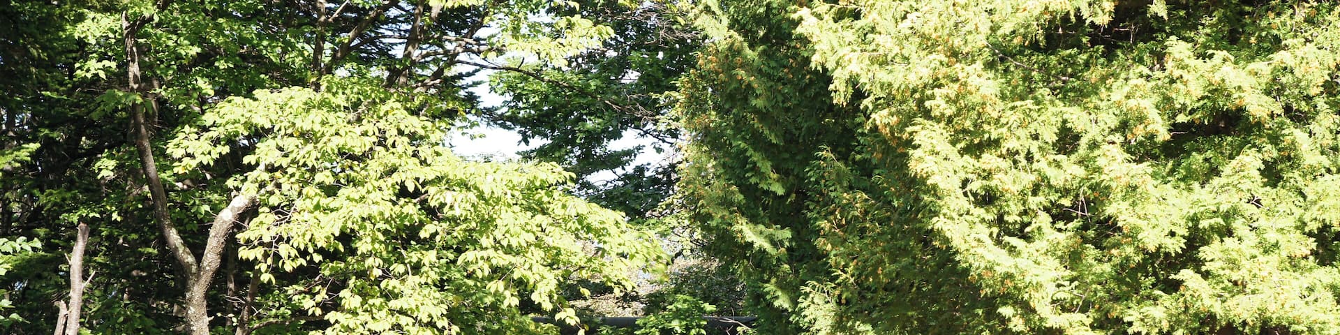 Abashiri-jinja in Abashiri, Hokkaido prefecture, Japan