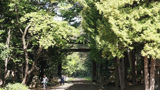 Abashiri-jinja in Abashiri, Hokkaido prefecture, Japan