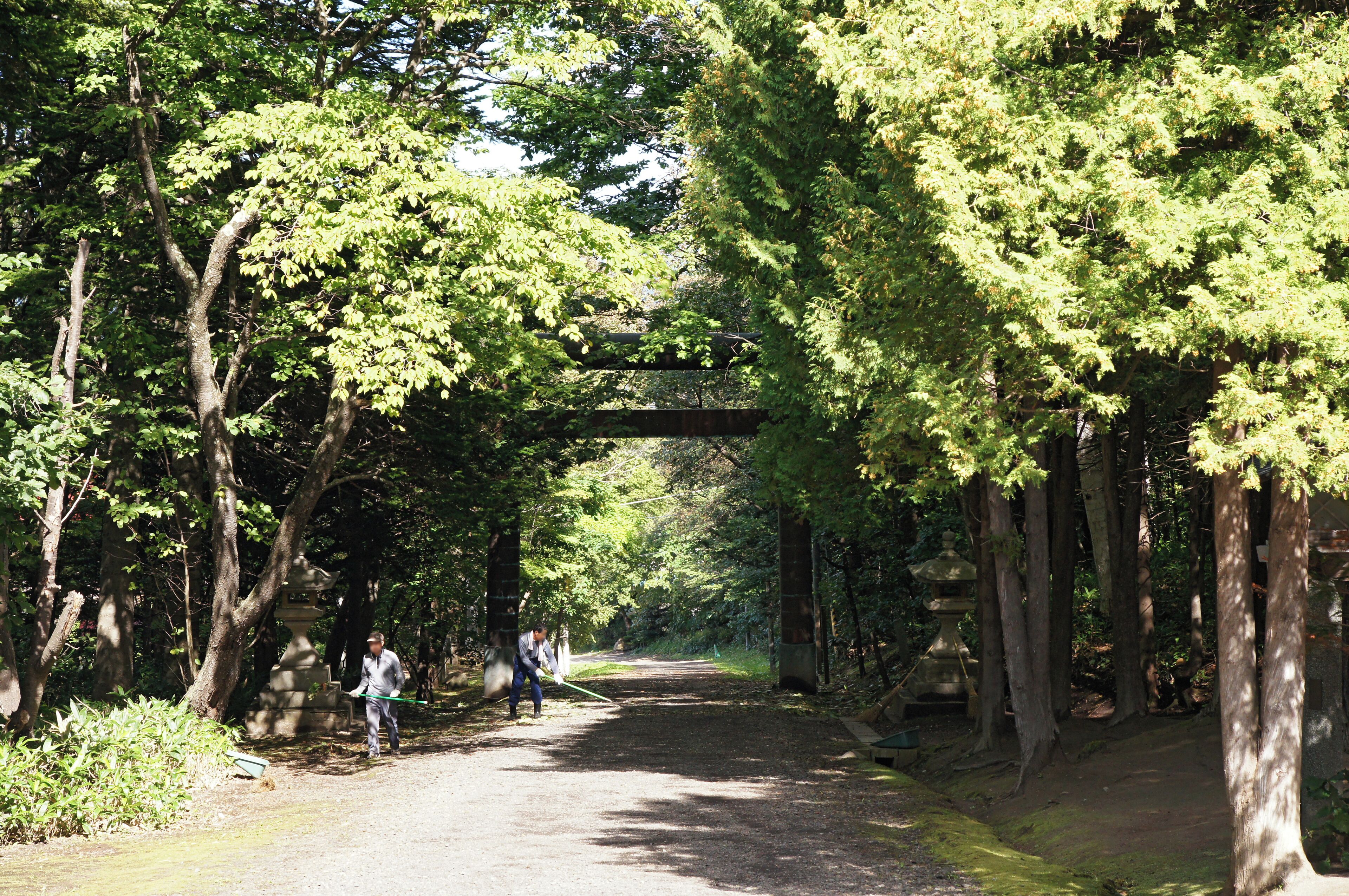 A pathway through a forest with a stone bridge overhead and stone lanterns along the path.