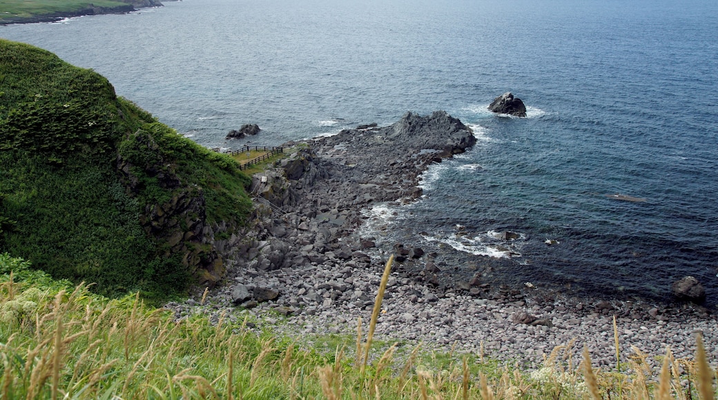 Cape Peshi in Rishiri Island, Hokkaido, Japan.