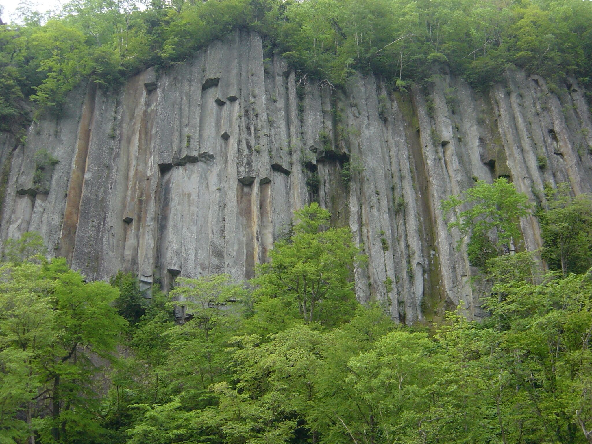 A large limestone cliff with vertical striations and numerous holes, surrounded by dense green forest.