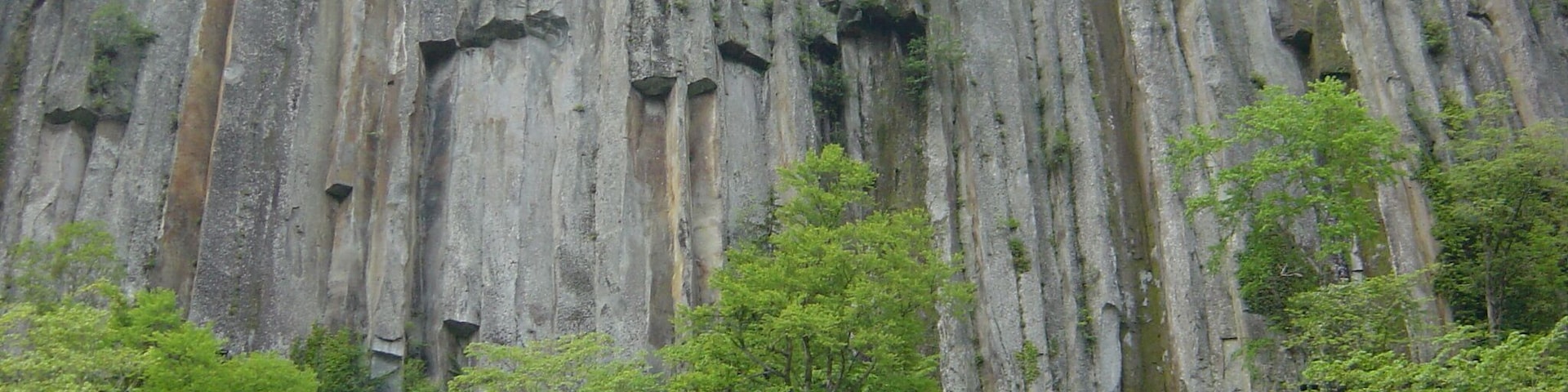 A large limestone cliff with vertical striations and numerous holes, surrounded by dense green forest.