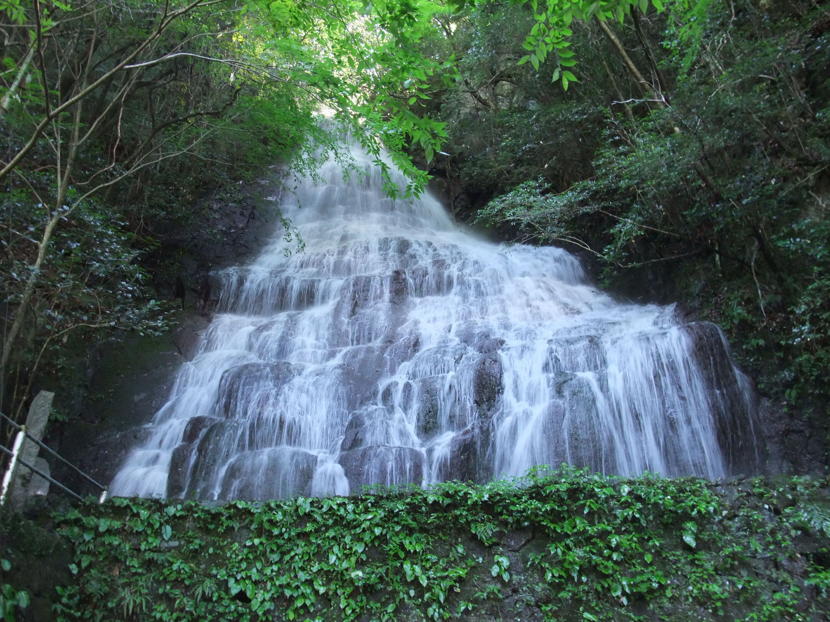 A multi-tiered waterfall surrounded by dense forest.