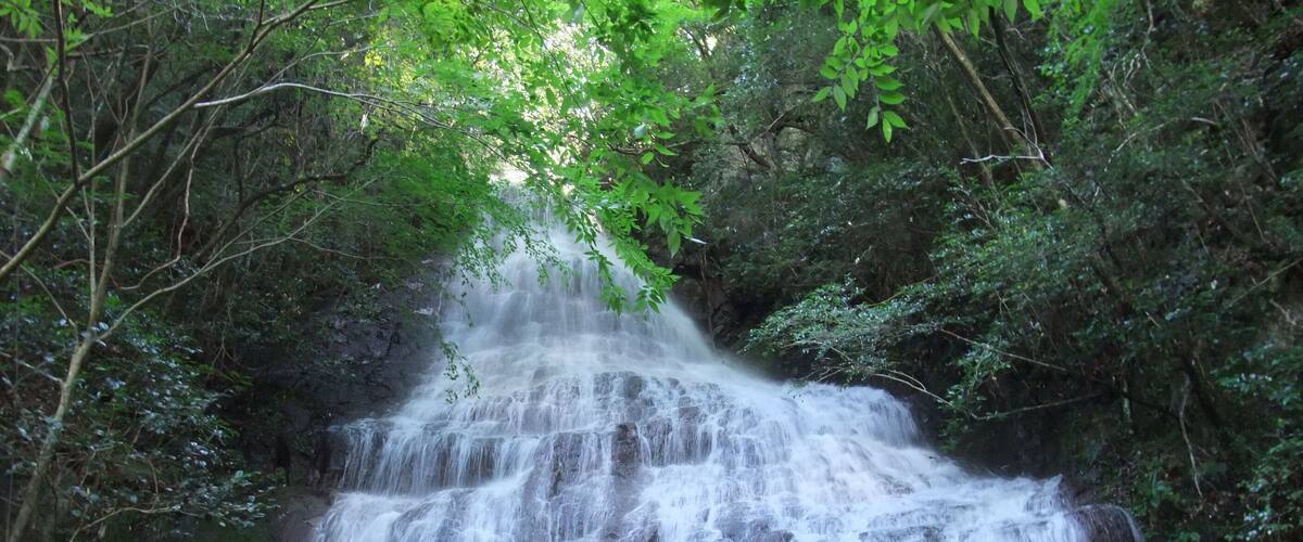 A multi-tiered waterfall surrounded by dense forest.
