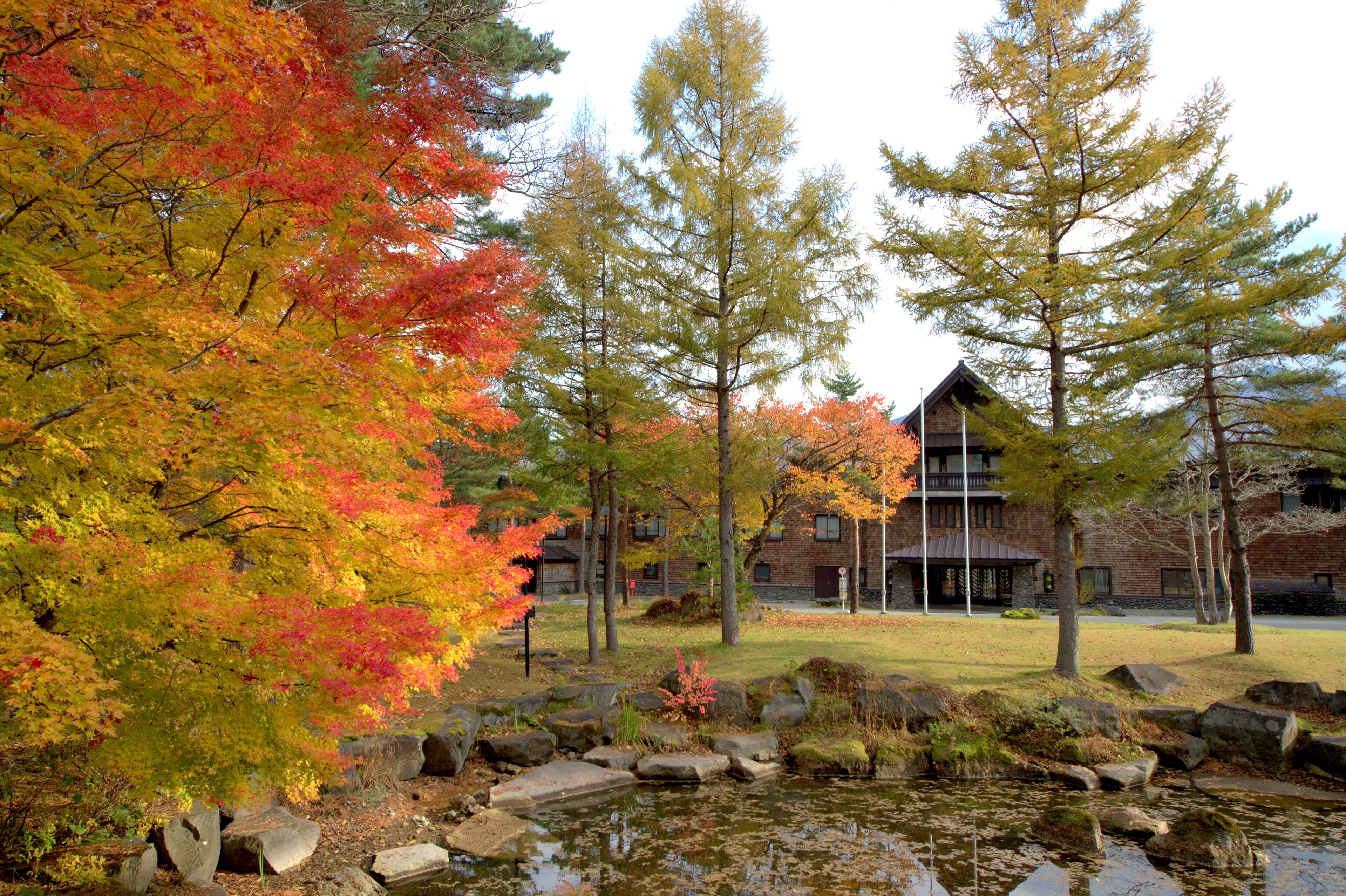 A building surrounded by autumn-colored trees and a pond with rocks.