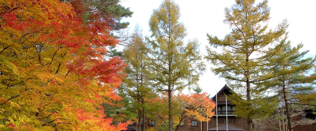 A building surrounded by autumn-colored trees and a pond with rocks.