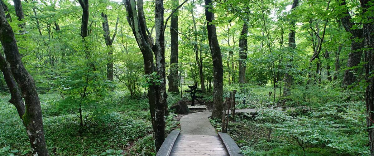 This is a complete original image ( no retouch, and no re-compression ).