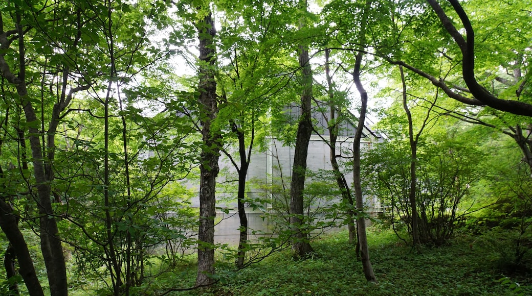 This is a complete original image ( no retouch, and no re-compression ).