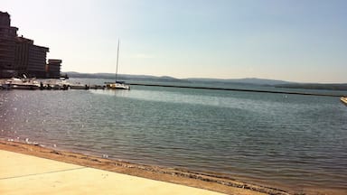 Un muelle con barcos amarrados, un velero y un edificio al fondo.