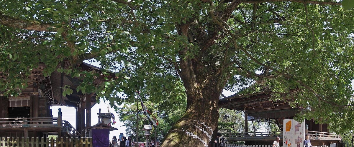 Konpira-san , こんぴらさん