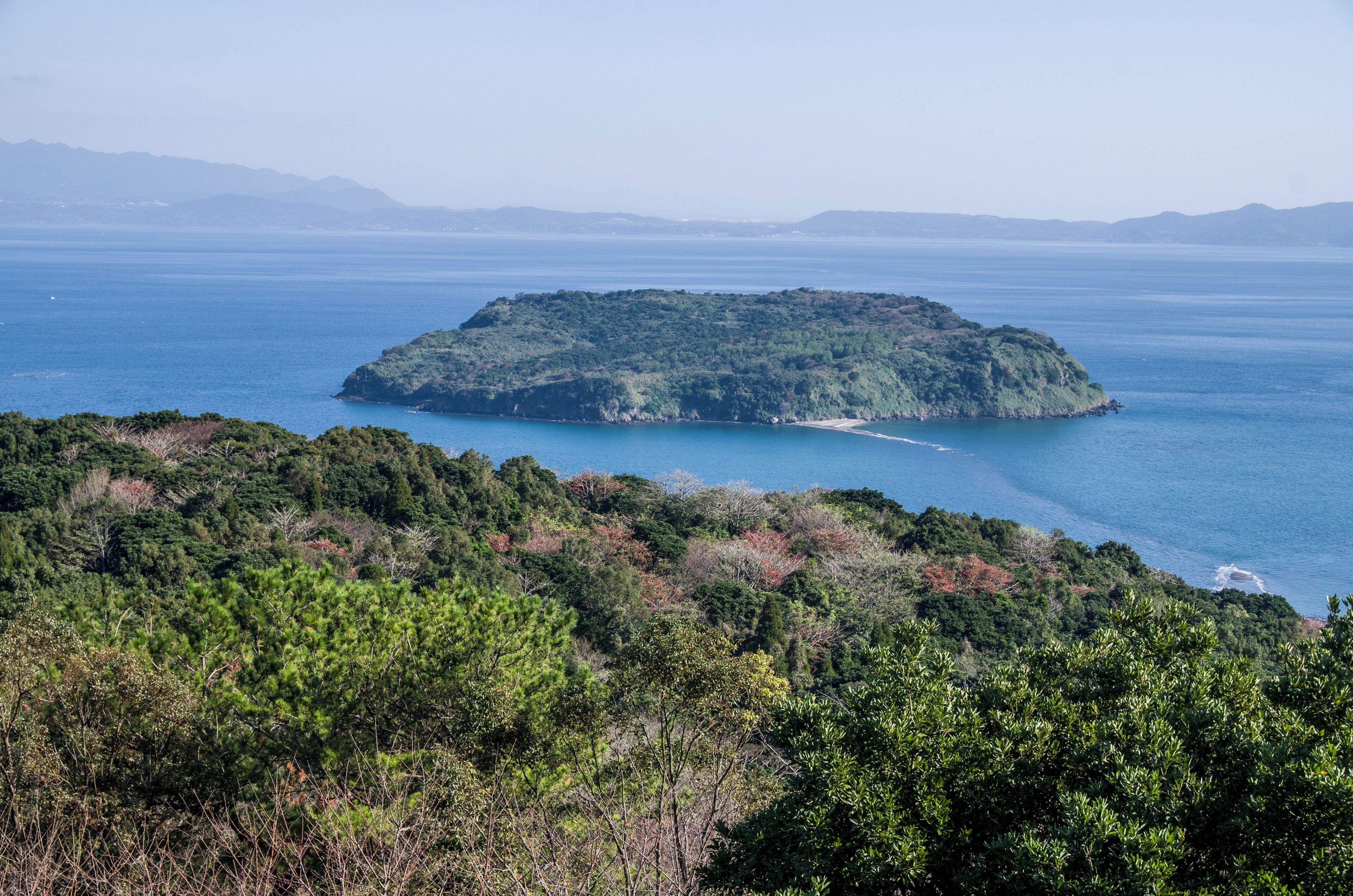 A coastal landscape with a small island surrounded by a forested area and the sea.