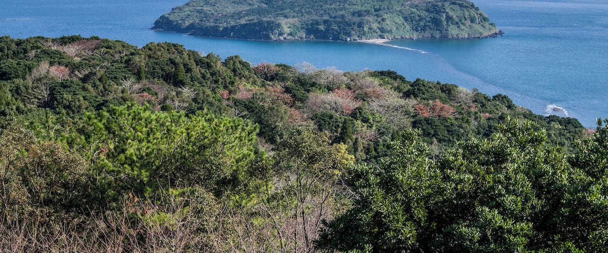 A coastal landscape with a small island surrounded by a forested area and the sea.