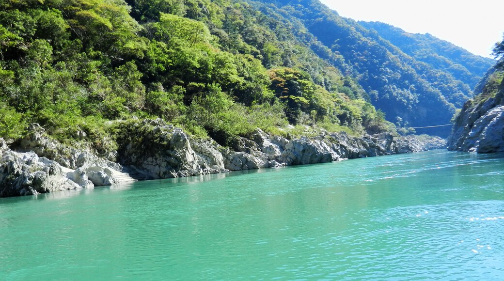 Yoshino River 吉野川
