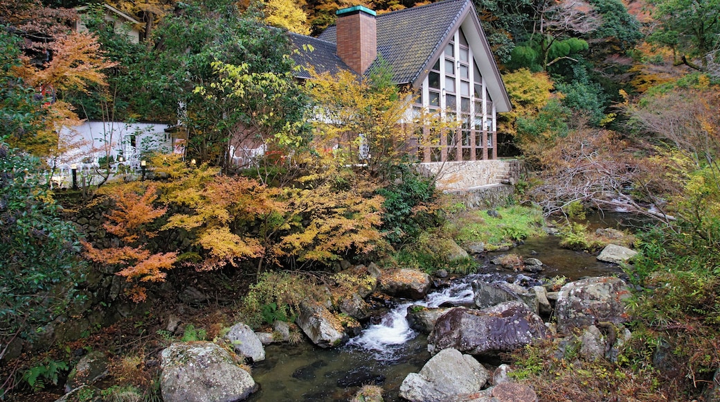 Meiji no Mori Minō Quasi-National Park in Minoh, Osaka prefecture, Japan