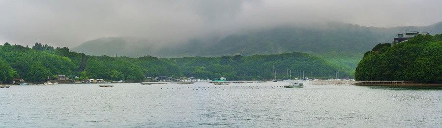 A coastal town with boats, a pier, and lush green hills in the background.