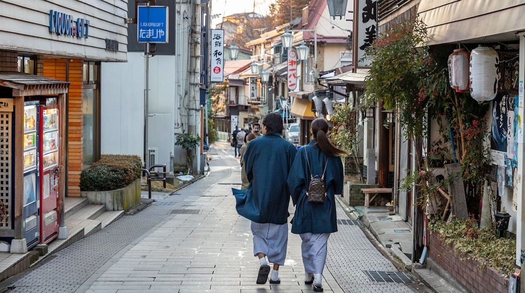 Yudanaka Shibu Onsen showing street scenes as well as a couple