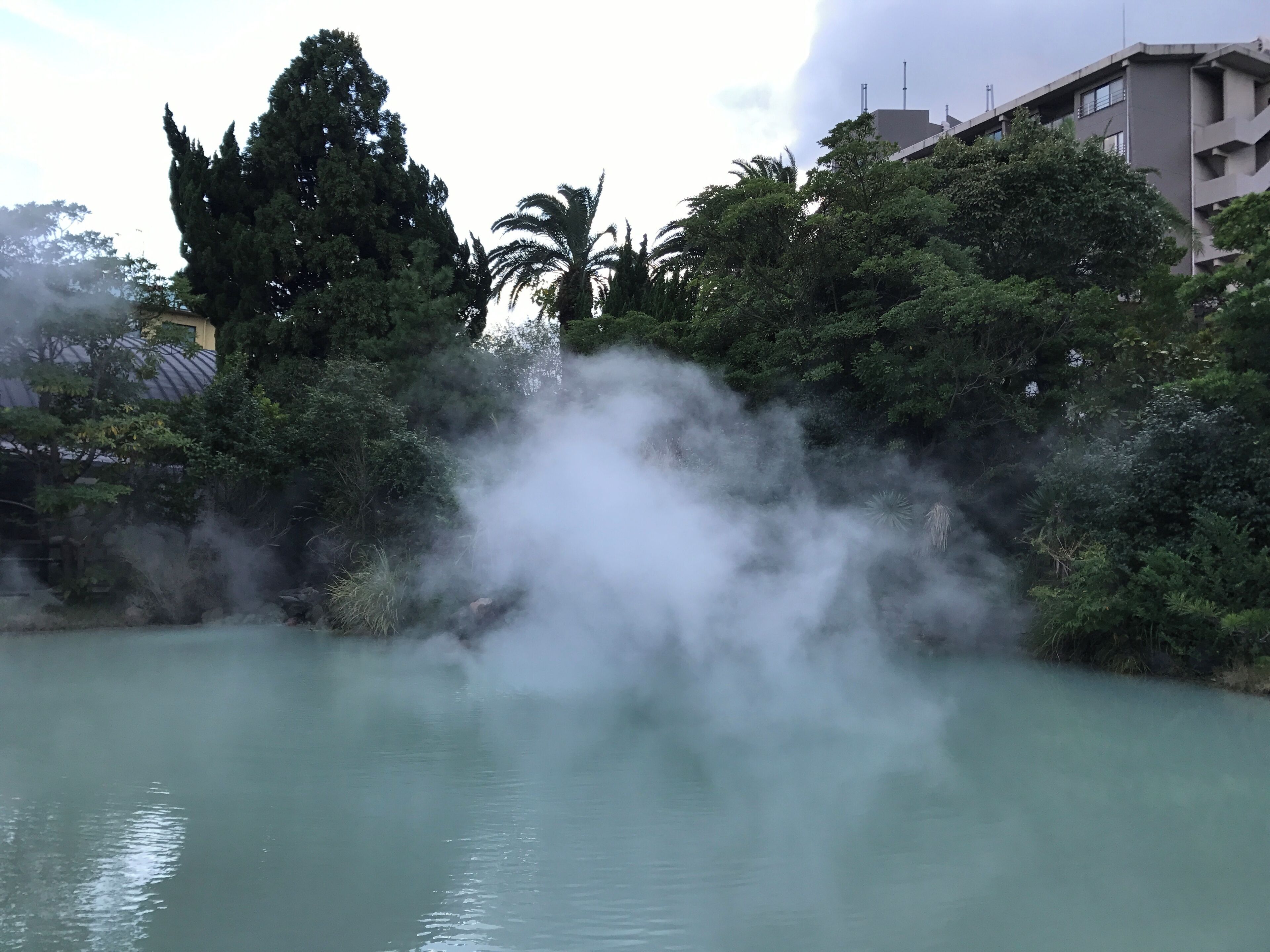 A body of water with steam rising from it, surrounded by dense greenery and trees.