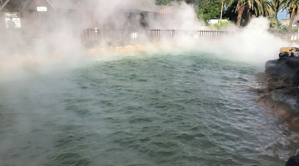 湯煙を上げる鬼山地獄