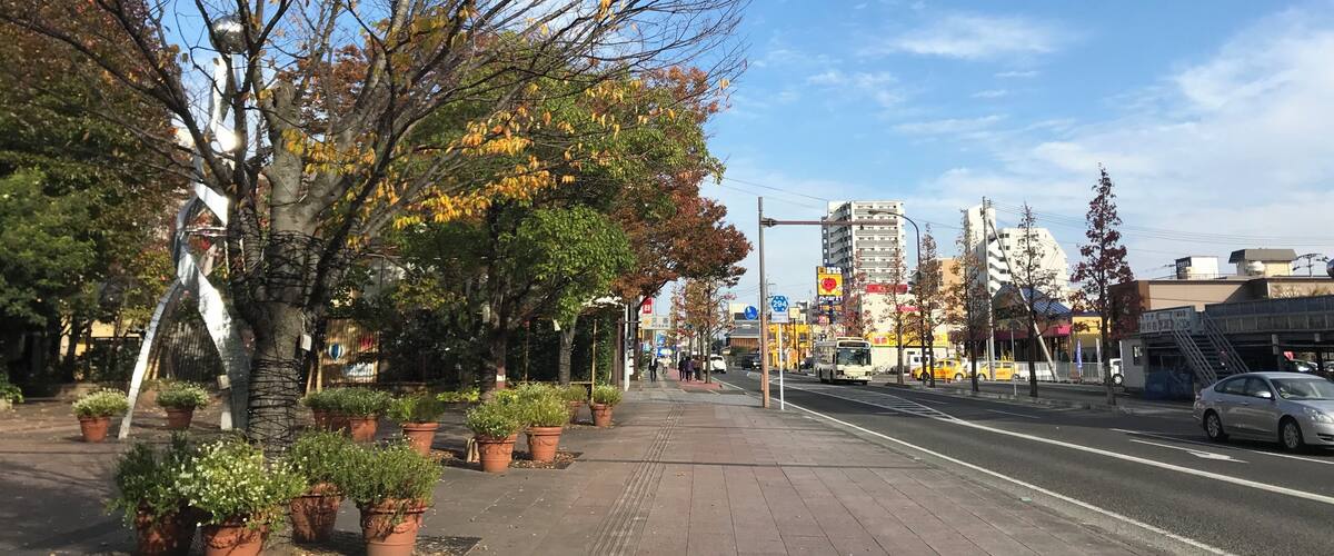 A tree-lined sidewalk with potted plants, a clear blue sky, and urban buildings in the background.