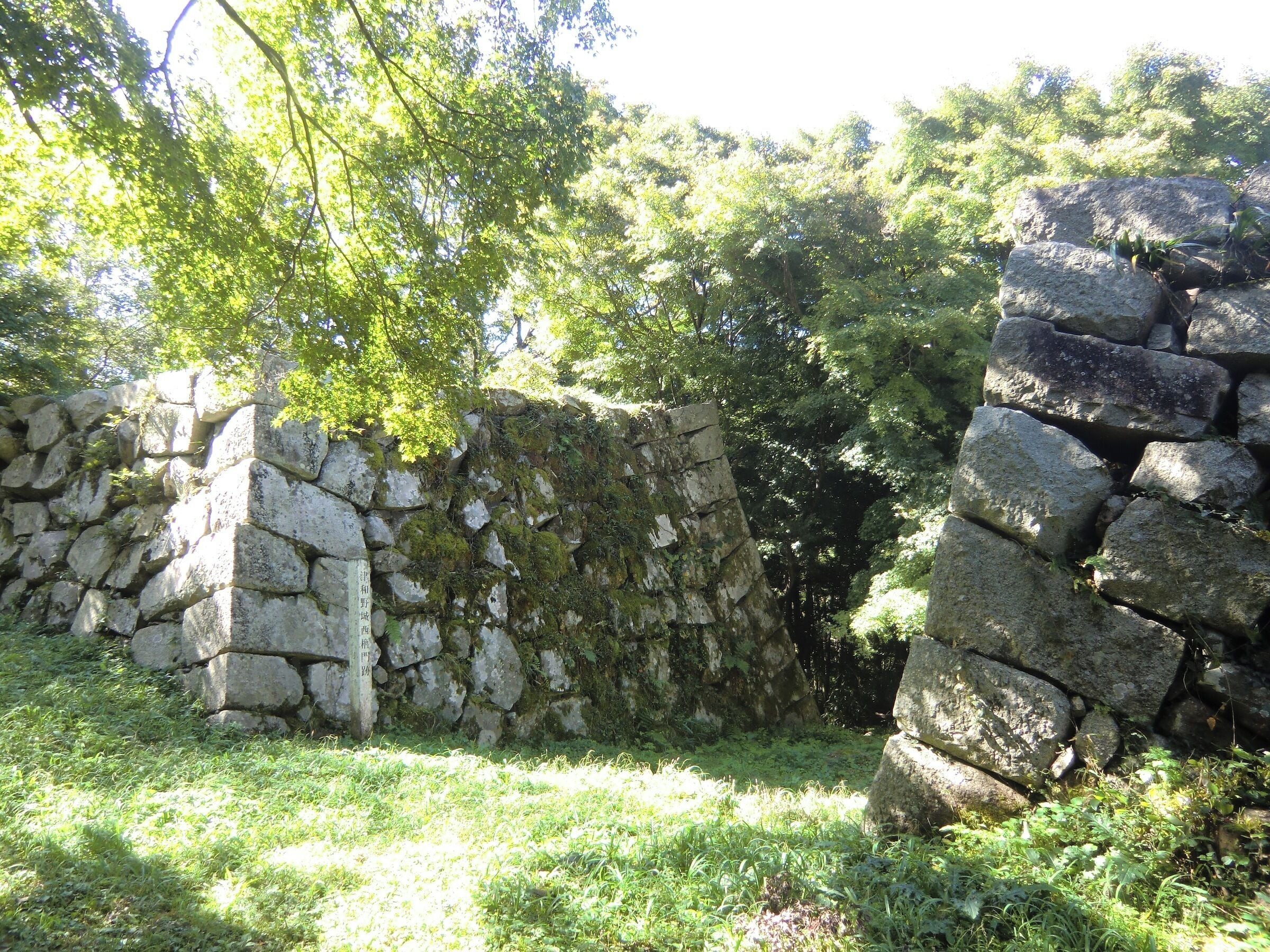 A stone wall with moss growth, surrounded by lush greenery and trees.