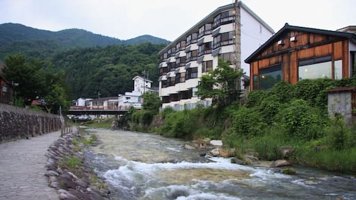 Yunishigawa, Nikko, Tochigi Prefecture 321-2601, Japan