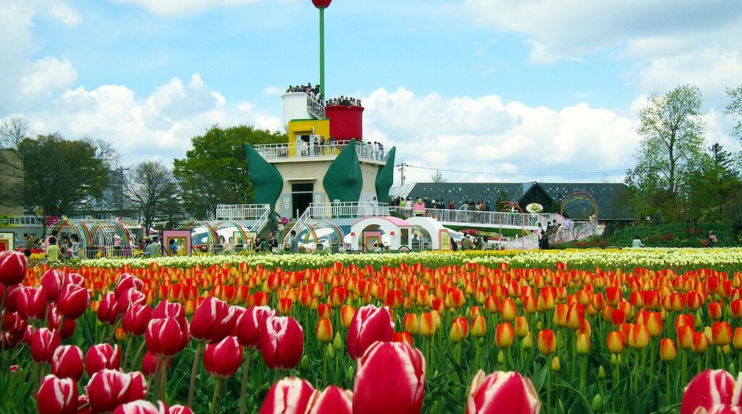 砺波のチューリップ (Tulip Festival in Tonami) 29 Apr, 2011
