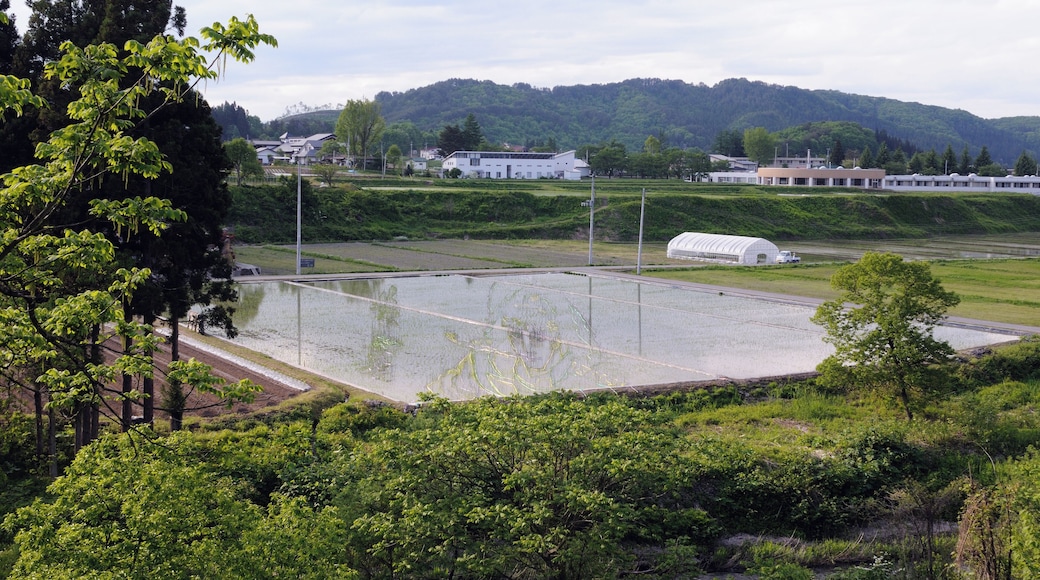 Japan, Yonezawa: tanbo art composition (Yamagata prefecture).