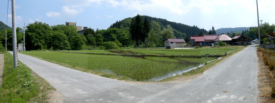 DSCN4651P