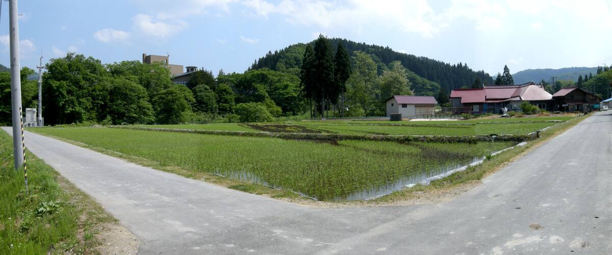 A rural landscape with a road, green fields, a small house, and a mountain in the background.