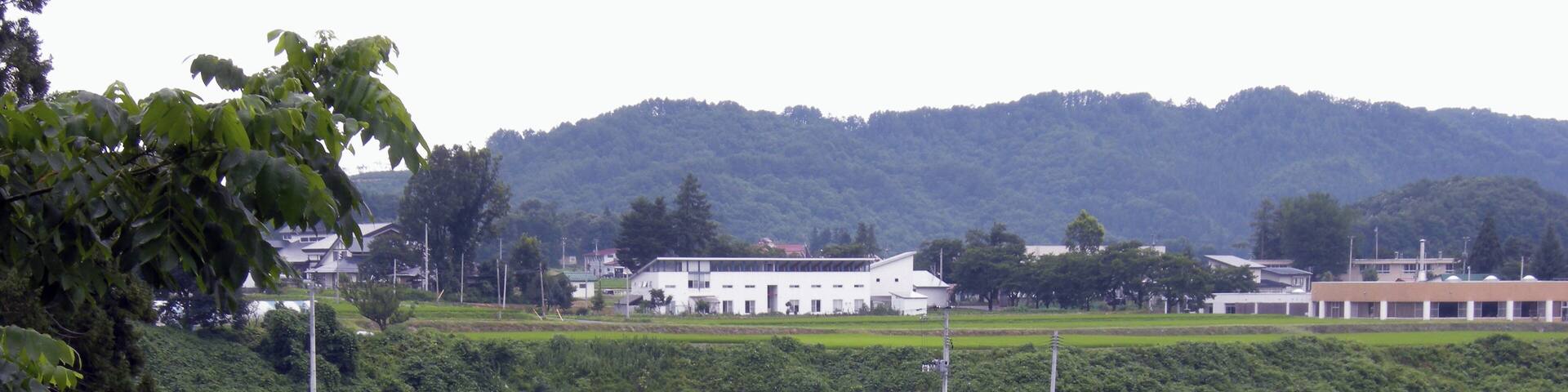 Japan, Yonezawa: tanbo art composition (Yamagata prefecture).