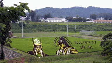 요네자와시
