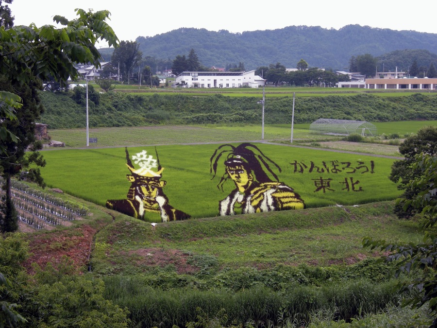 Japan, Yonezawa: tanbo art composition (Yamagata prefecture).