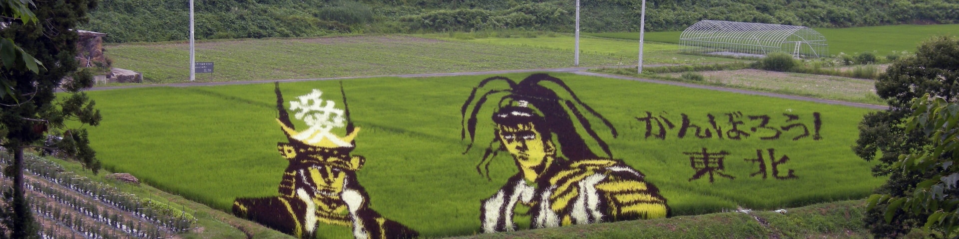 Japan, Yonezawa: tanbo art composition (Yamagata prefecture).