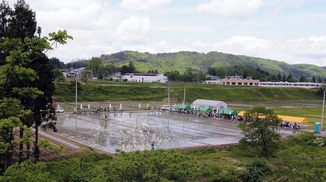 よってたかって田植えをした直後の図