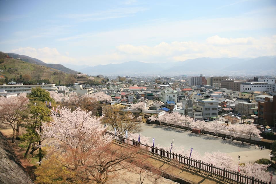 Une vue urbaine avec des cerisiers en fleurs, une rivière et des montagnes en arrière-plan.