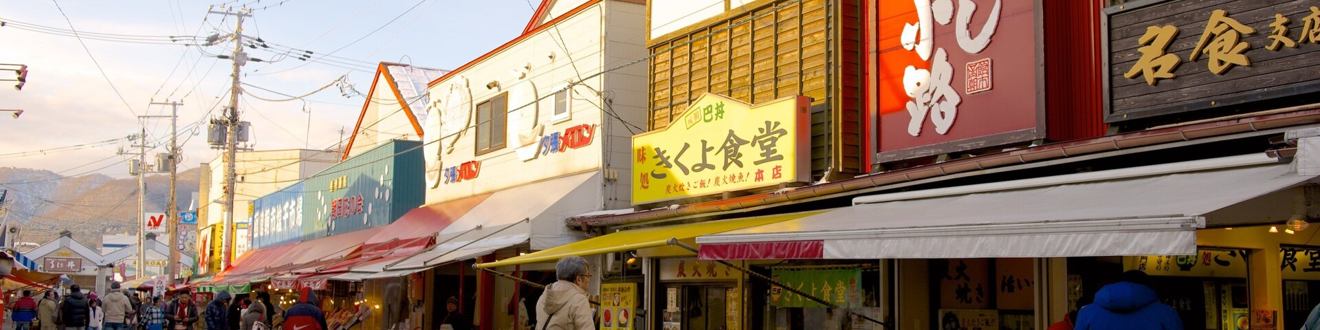 Hakodate featuring street scenes as well as a large group of people