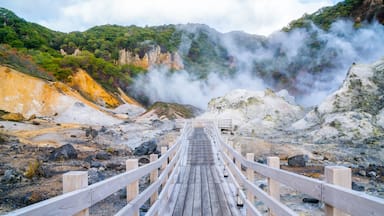 Un puente de madera que conduce a un área geotérmica con vapor ascendiendo del suelo y una ladera boscosa al fondo.