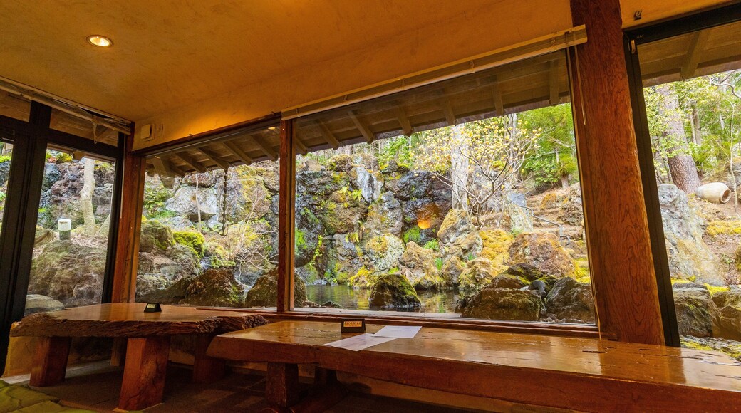 Itchiku Kubota Art Museum showing heritage elements and interior views