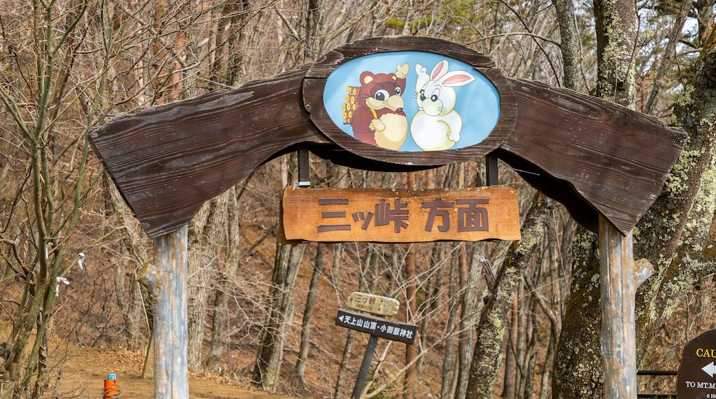 Mt. Kachi Kachi Ropeway which includes signage and a garden