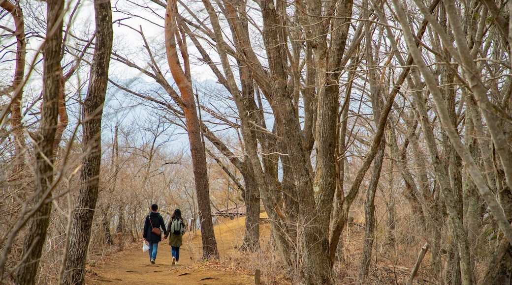 Mt. Kachi Kachi Ropeway which includes a garden as well as a couple