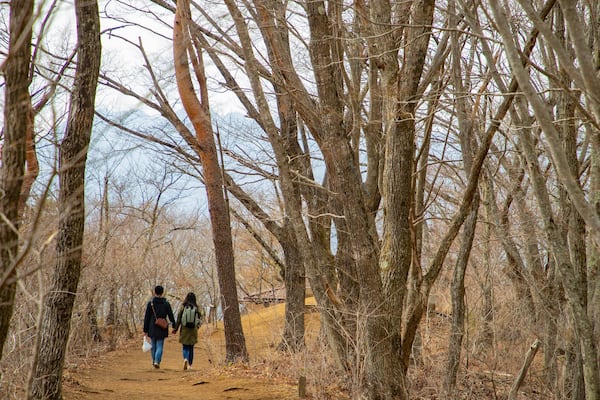 Mt. Kachi Kachi Ropeway which includes a garden as well as a couple