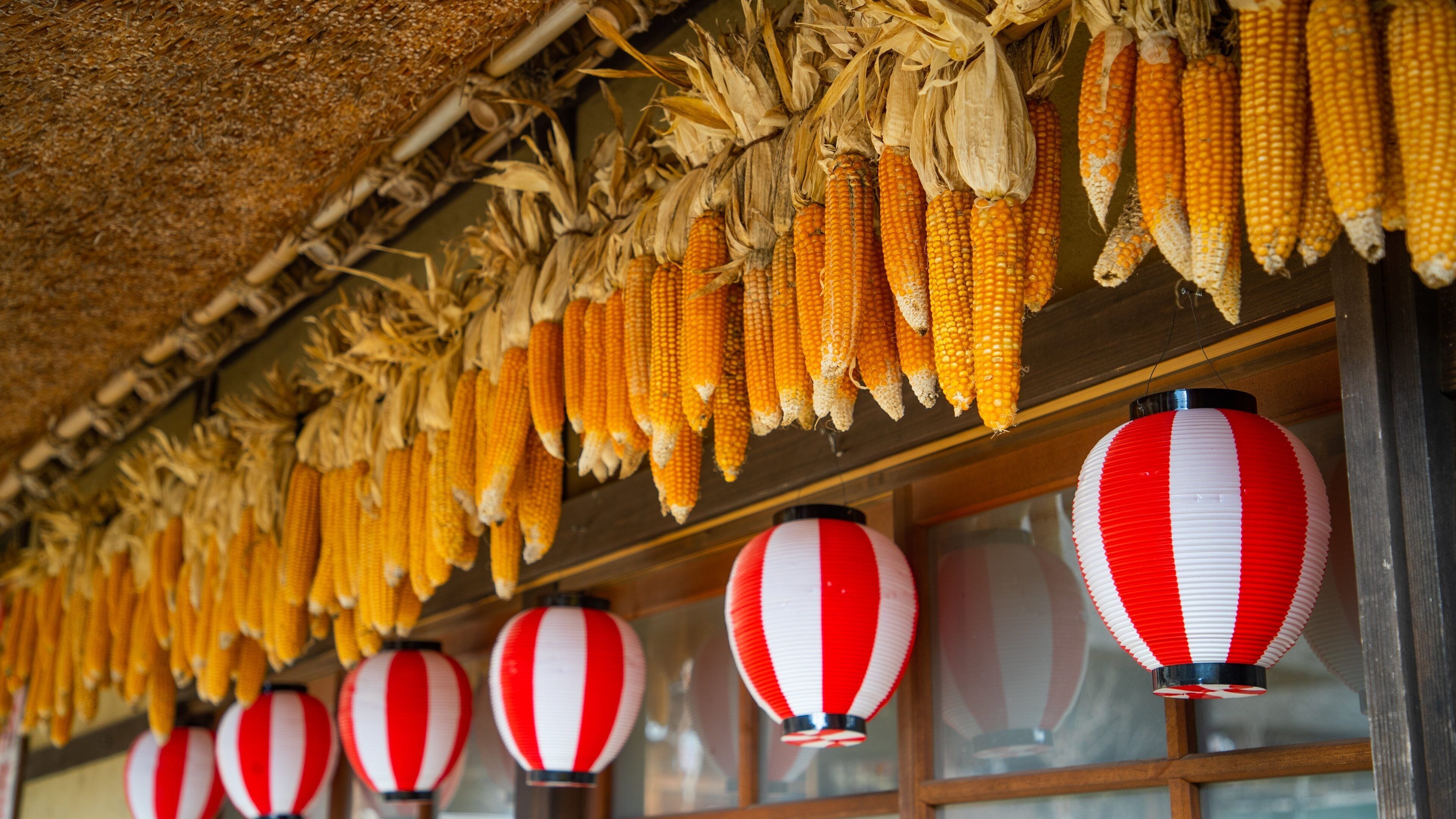 Lake Saiko Iyashi no Sato NENBA featuring food and markets