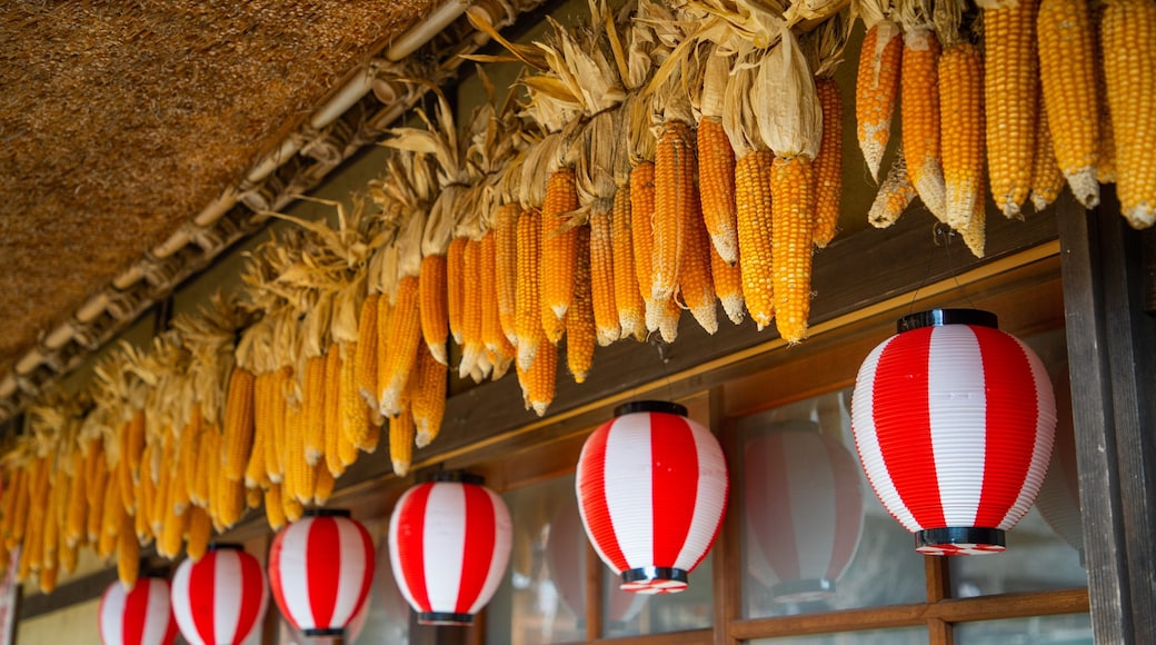 Lake Saiko Iyashi no Sato NENBA featuring food and markets