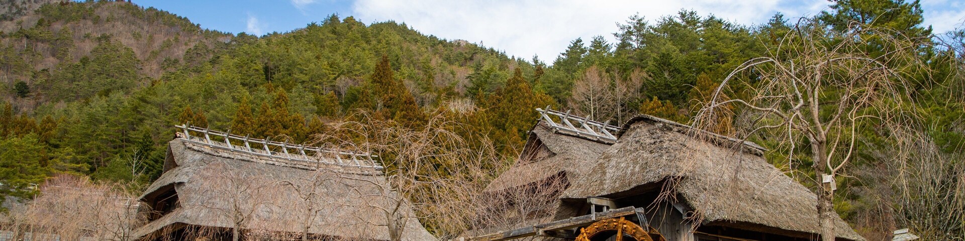 Lake Saiko Iyashi no Sato NENBA featuring a small town or village