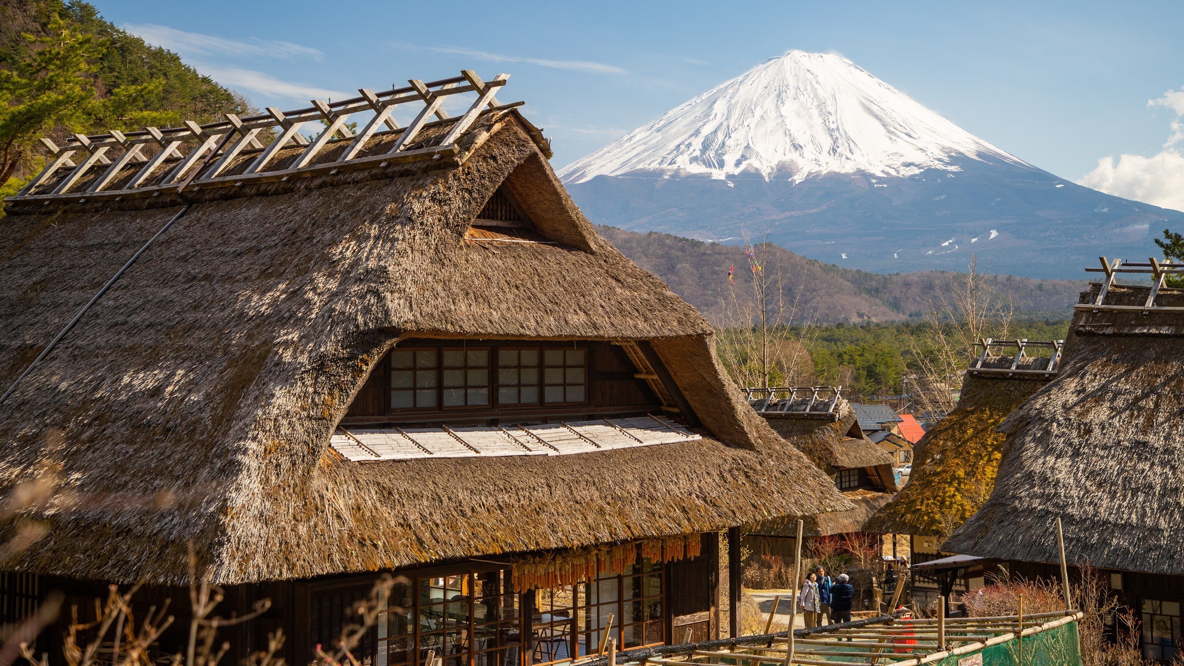 Lake Saiko Iyashi no Sato NENBA showing snow, a small town or village and mountains