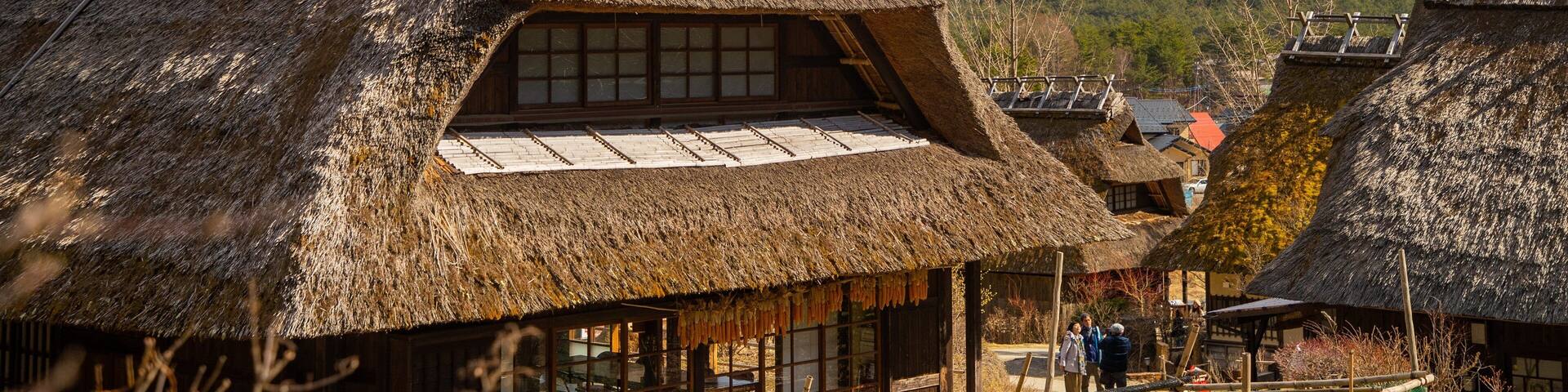 Lake Saiko Iyashi no Sato NENBA showing snow, a small town or village and mountains