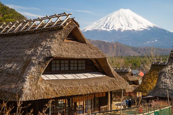 Lake Saiko Iyashi no Sato NENBA showing snow, a small town or village and mountains