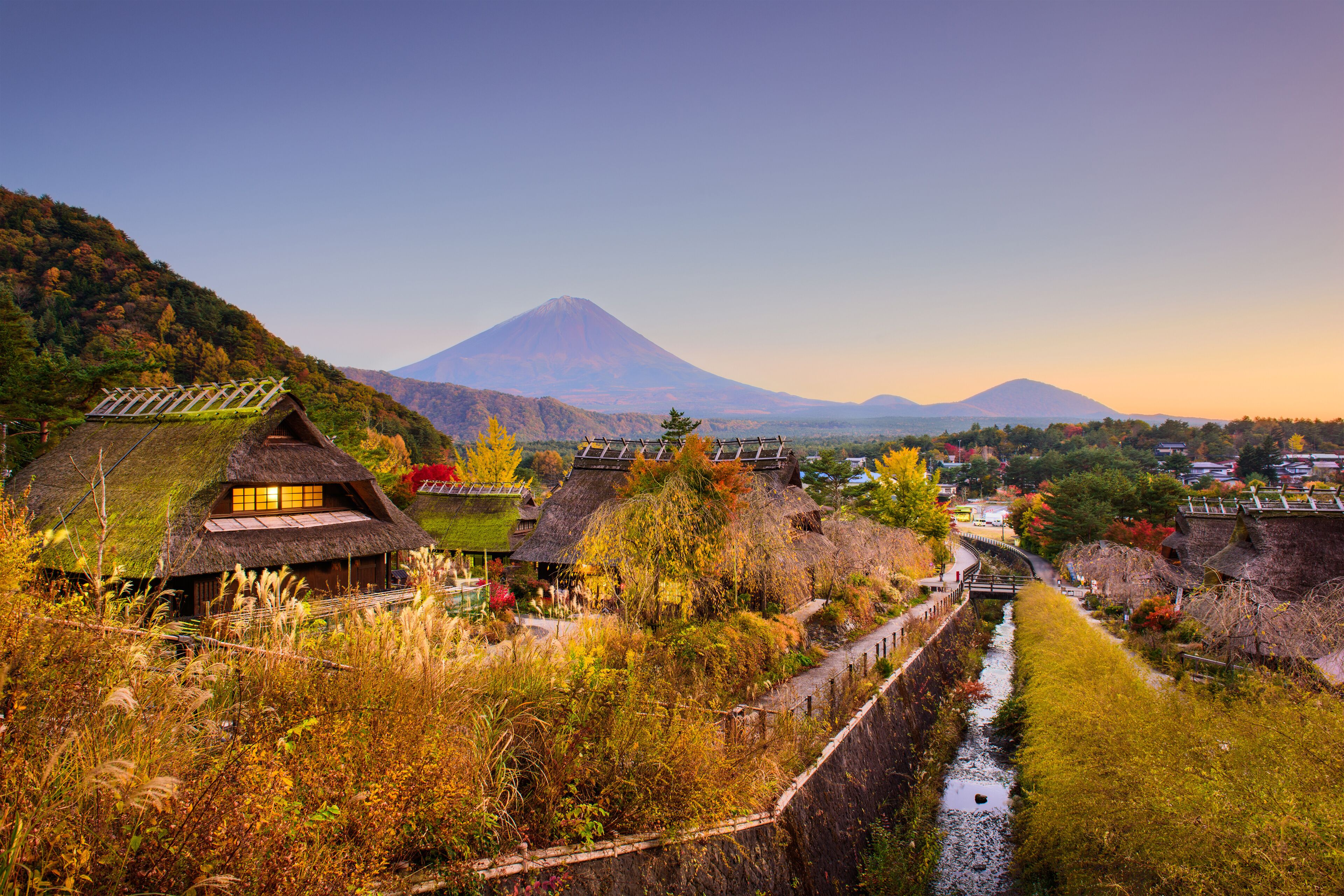 Mt. Fuji and VIllage