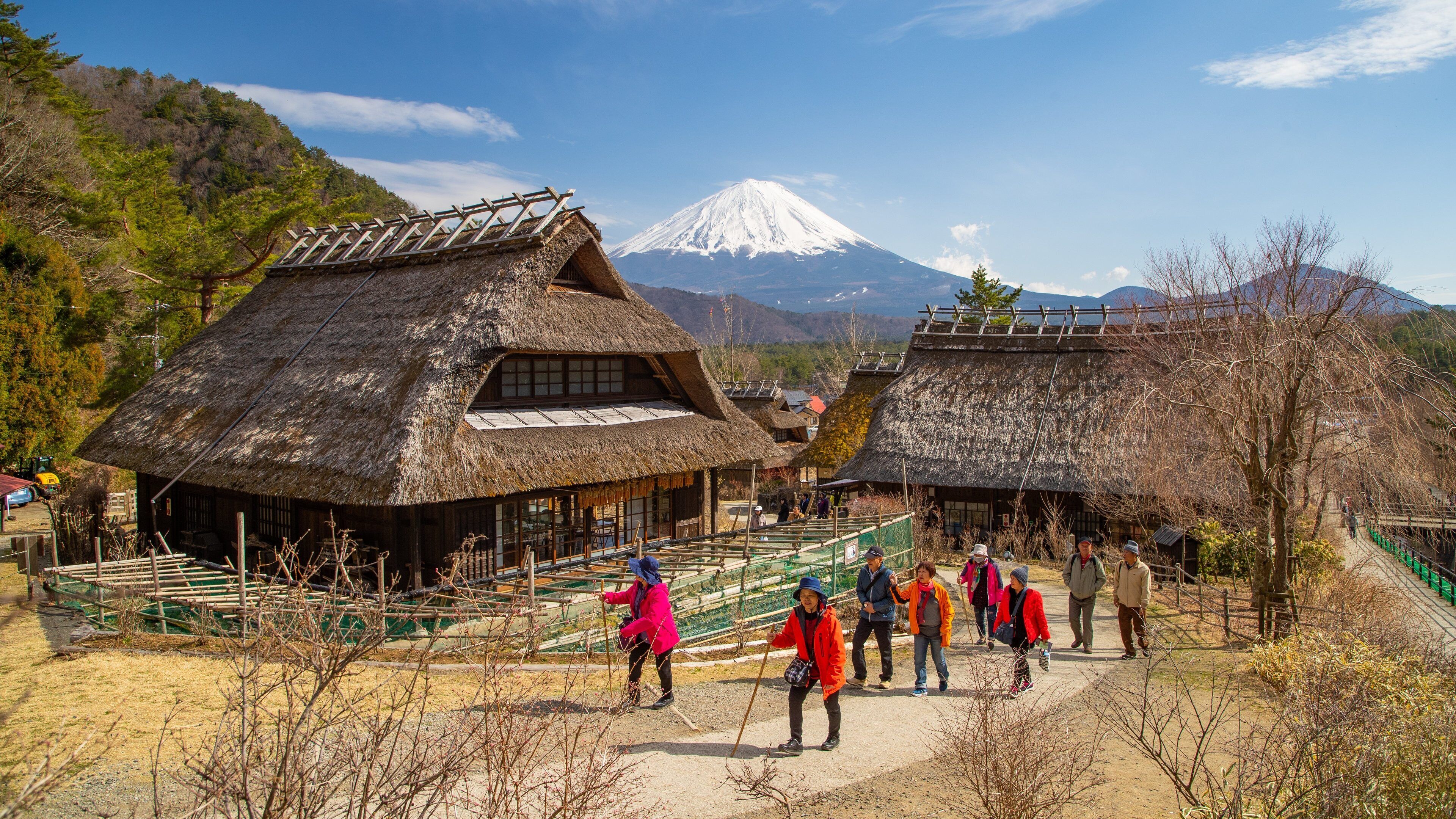 Lake Saiko Iyashi no Sato NENBA featuring street scenes and a small town or village as well as a small group of people