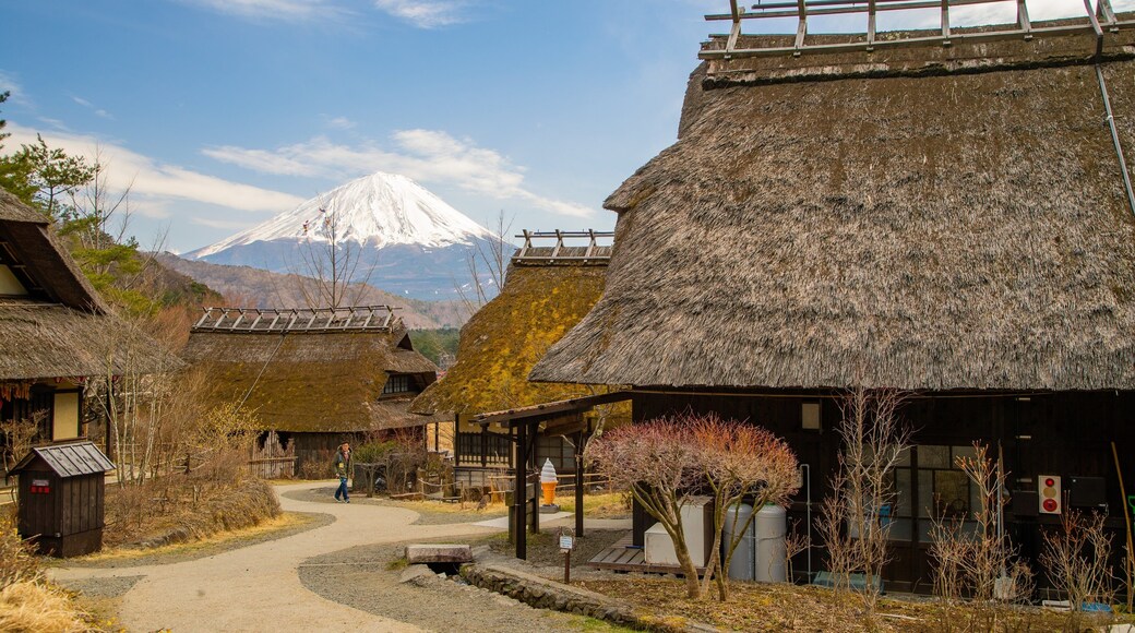 Lake Saiko Iyashi no Sato NENBA which includes mountains and a small town or village